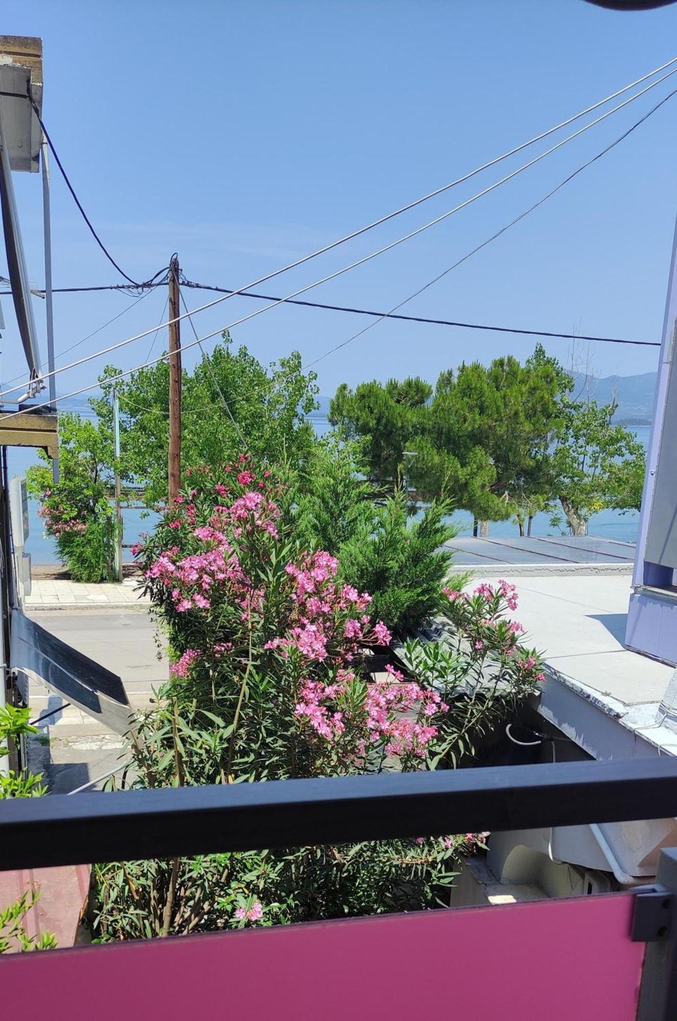 Okeania Seafront Rooms In קמנה וורלה מראה חיצוני תמונה
